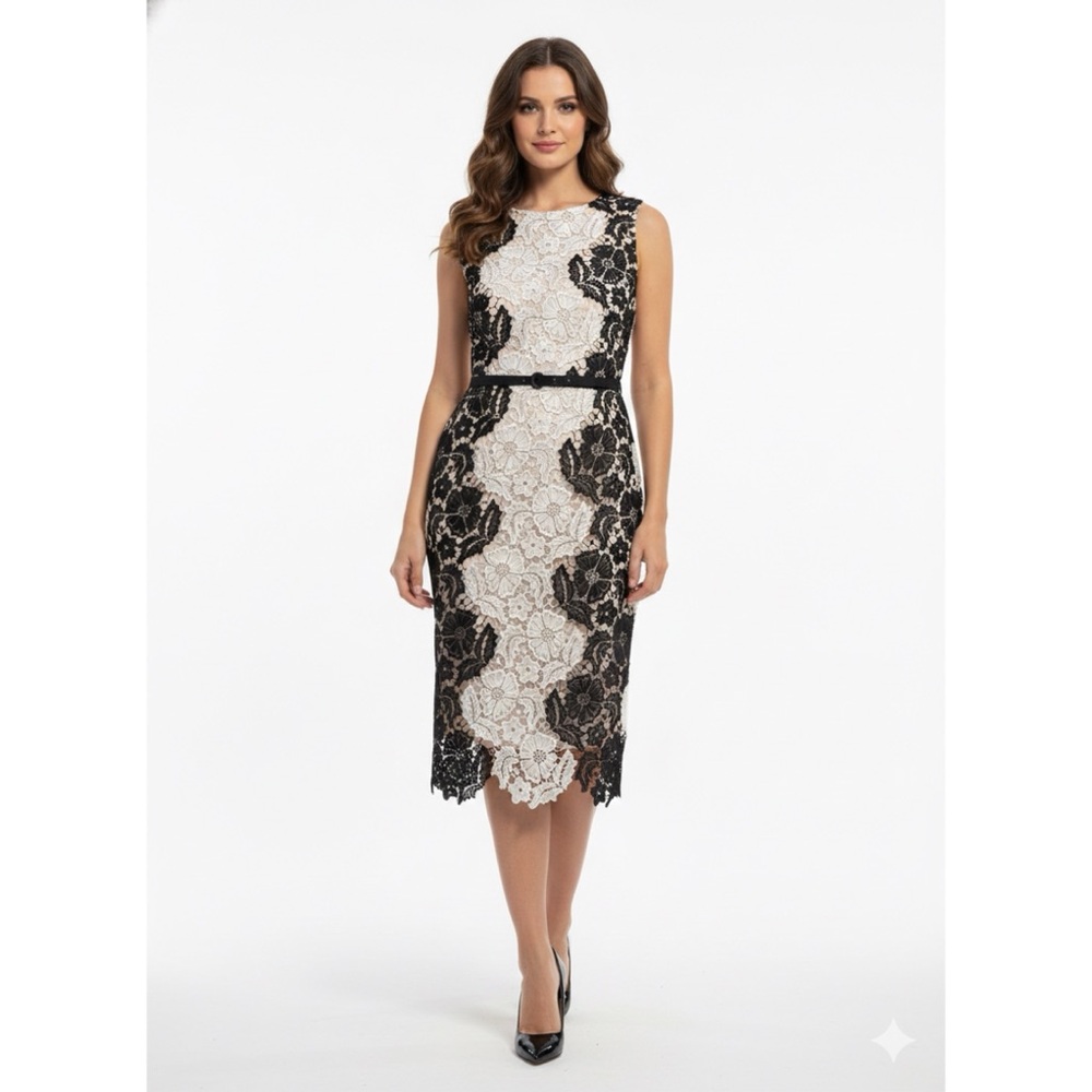 Elegant Black & Cream Lace Sheath Dress